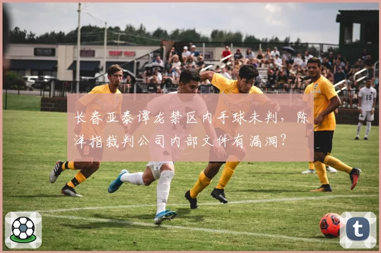 长春亚泰谭龙禁区内手球未判，陈洋指裁判公司内部文件有漏洞？